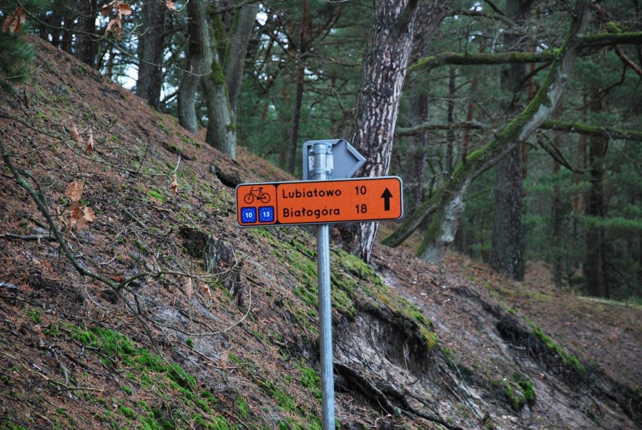 Forest House Sasino-Spa Sauna Balia Exteriér fotografie